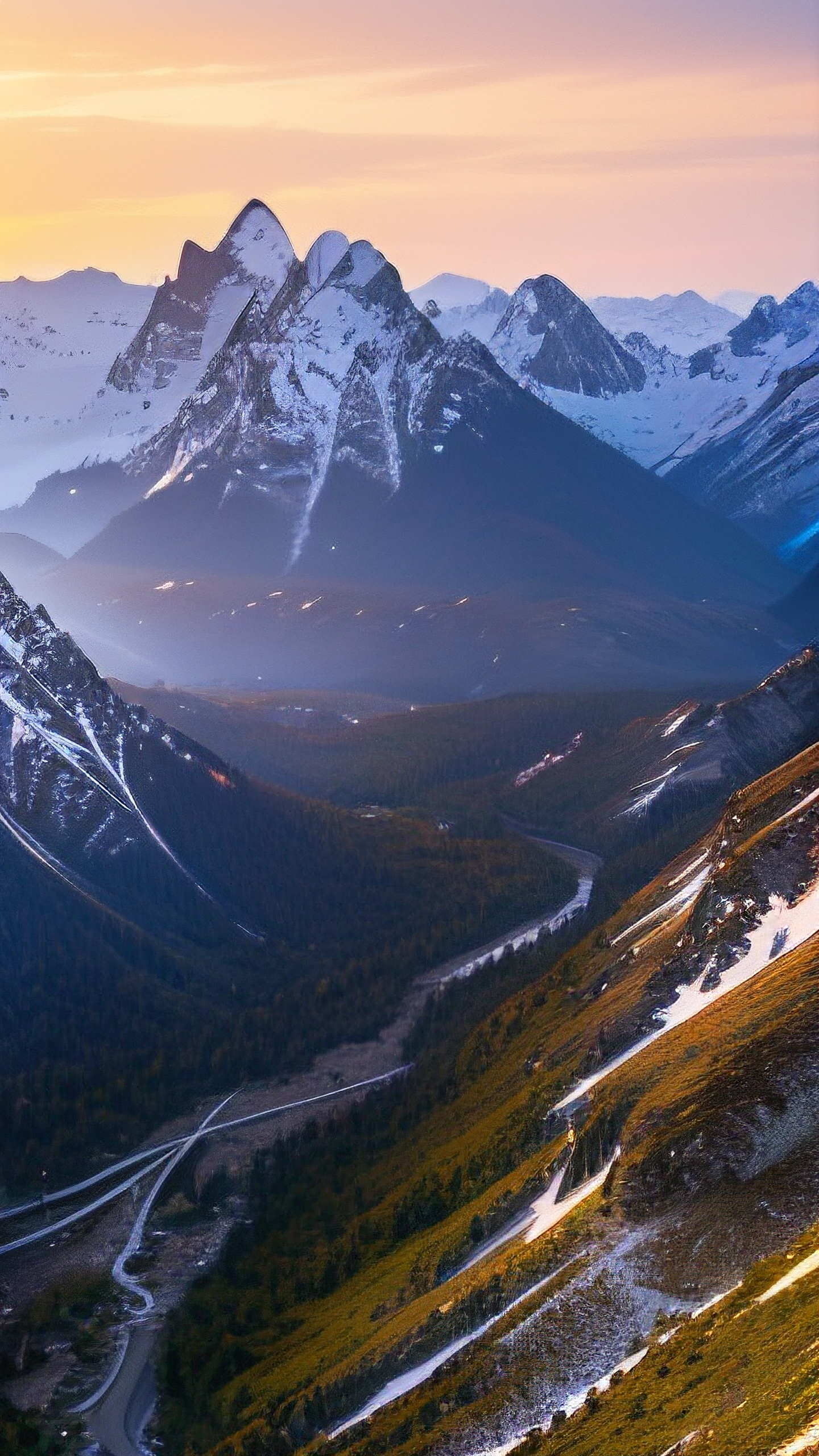 抖音
